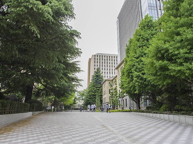 ①早稲田大学 早稲田キャンパス 正門付近 街頭サンプリング・街頭配布写真1